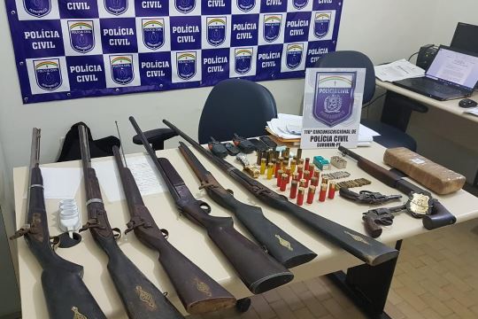 Operações da PCPE apreendem armas no Agreste
